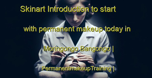 Skinart Introduction to start with permanent makeup today in Moringongo Bangongo | PermanentmakeupTraining | PermanentmakeupClasses | SkinartTraining-the Democratic Republic of the Congo